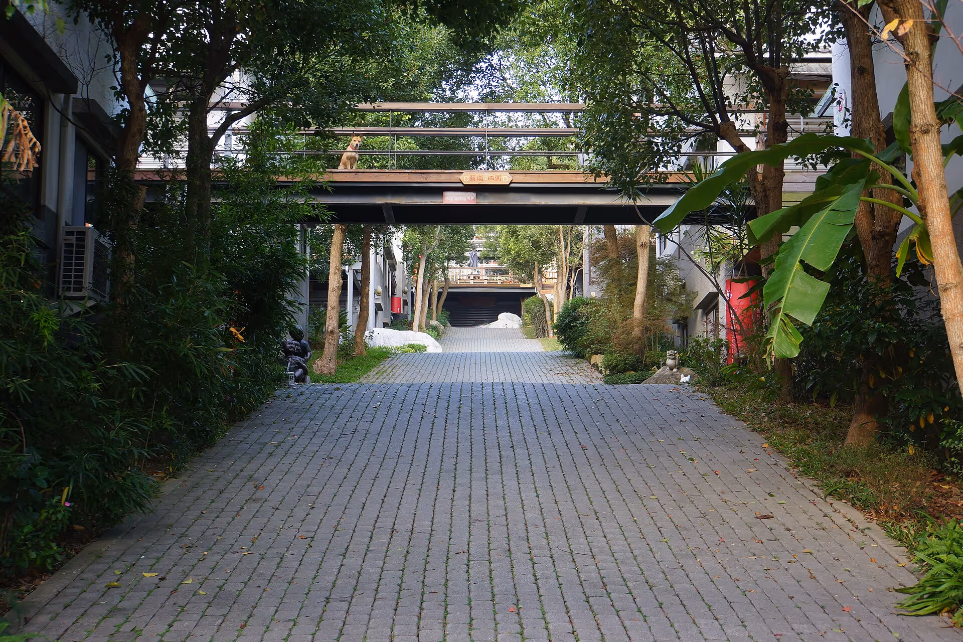 龍騰斷橋附近景點：從勝興到三義木雕｜龍騰斷橋（魚藤坪斷橋）三義鄉苗栗縣
